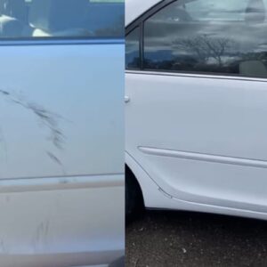 Penna Antigraffio Carfix™ photo review